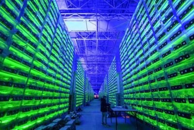 A large-scale cryptocurrency mining farm with rows of ASIC miners.